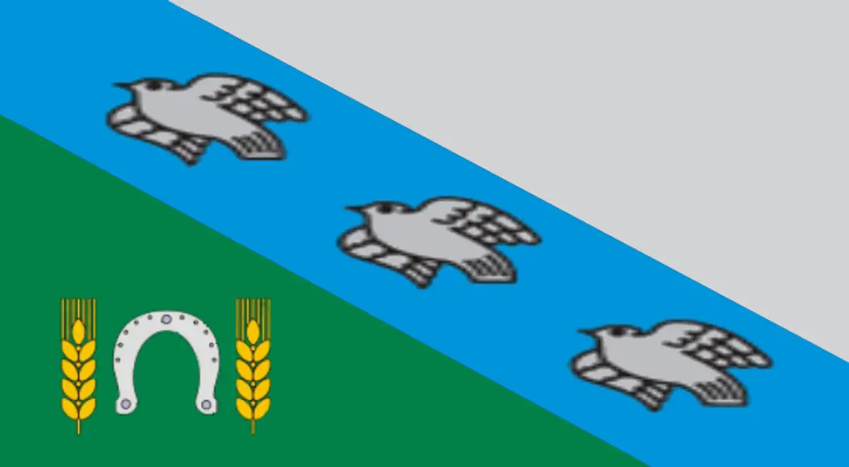 Флаг: Конышёвский район